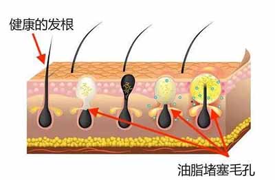 微信图片_20220719095335