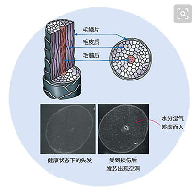 微信图片_20230628092315