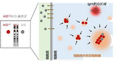 微信图片_20230719101001